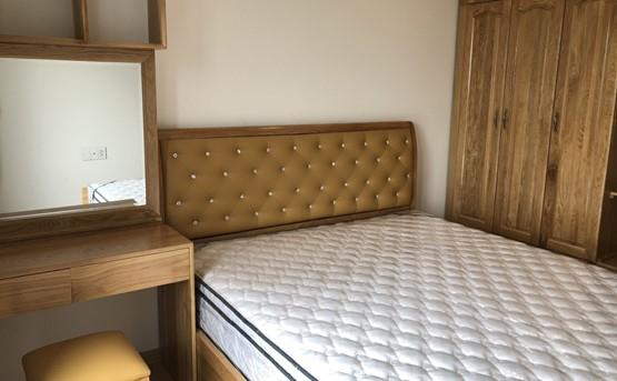 apartment for rent in district 2 D224018 (3)
